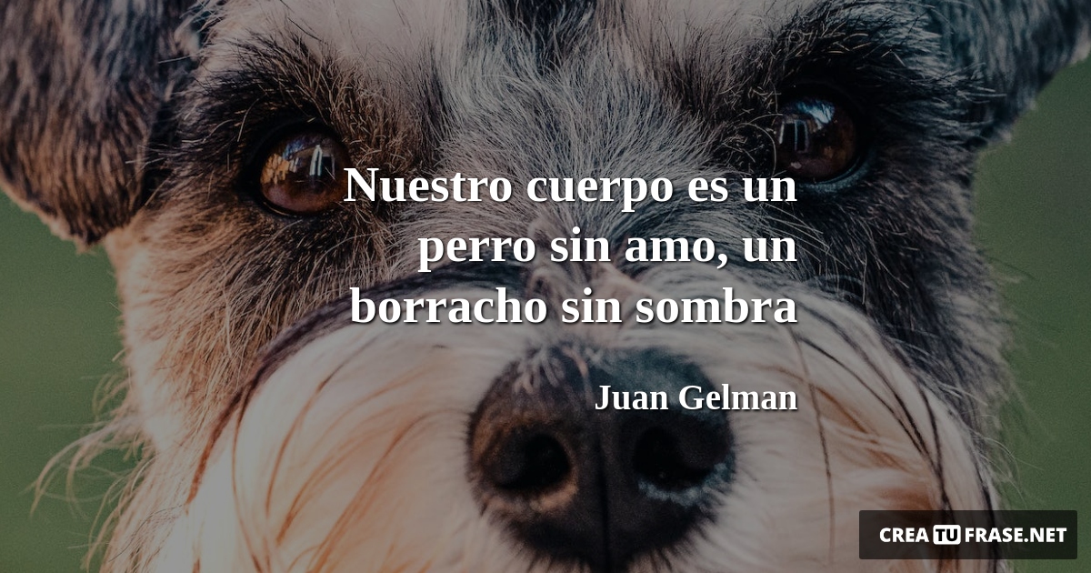 Frases de Animales - Nuestro cuerpo es un perro sin amo, un borracho sin sombra