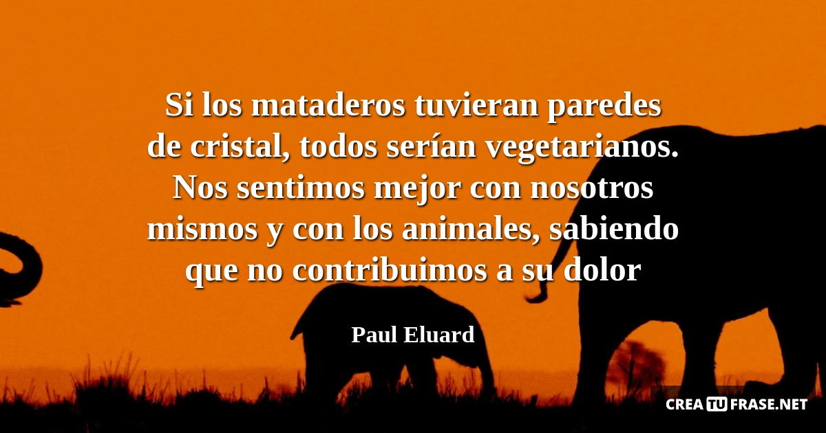 Frases de Animales - Si los mataderos tuvieran paredes de cristal, todos serían vegetarianos. Nos sentimos mejor con nosotros mismos y con los animales, sabiendo que no contribuimos a su dolor