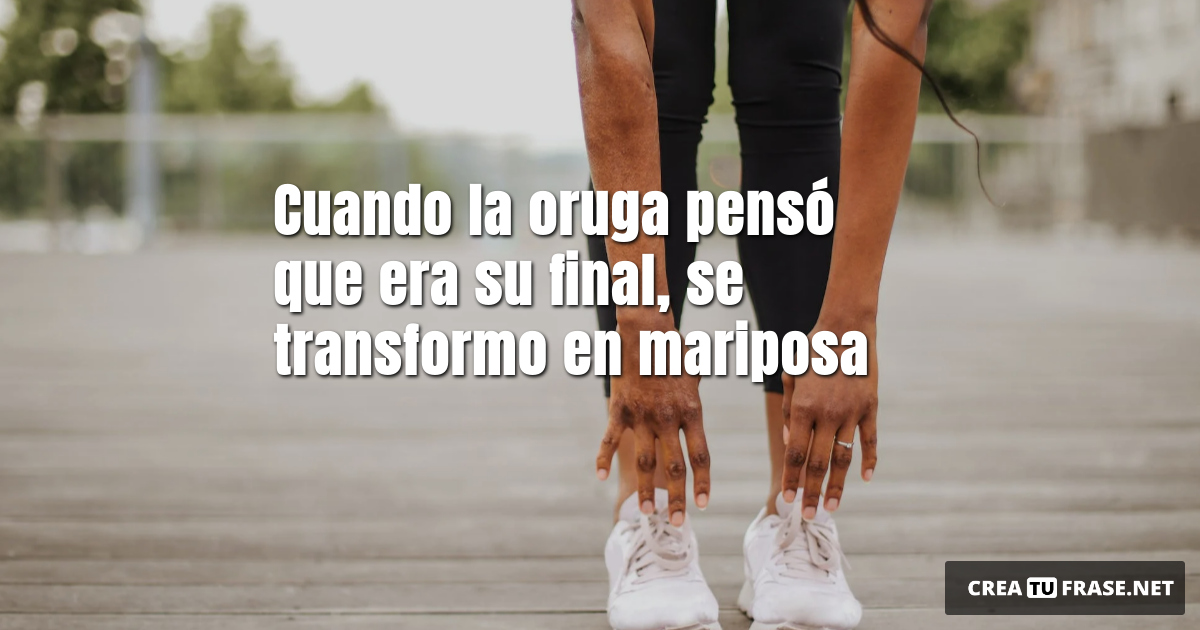 Frases de Motivacion - Cuando la oruga pensó que era su final, se transformo en mariposa