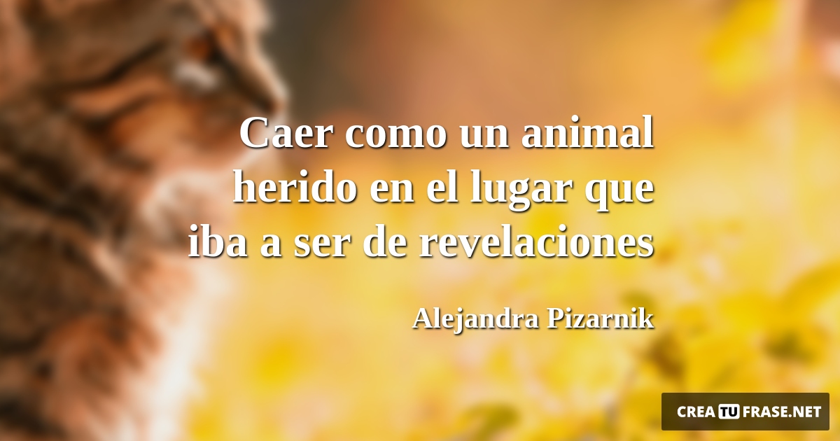 Caer como un animal herido en el lugar que iba a ser de revelaciones