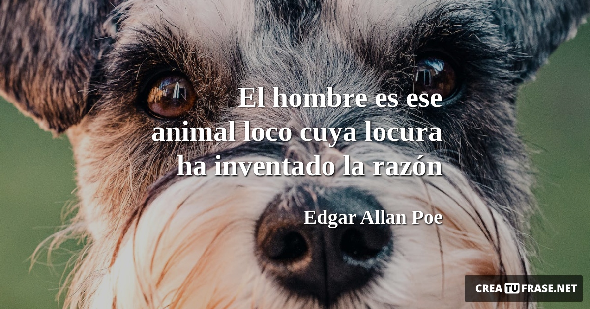 Frases de Animales - El hombre es ese animal loco cuya locura ha inventado la razón