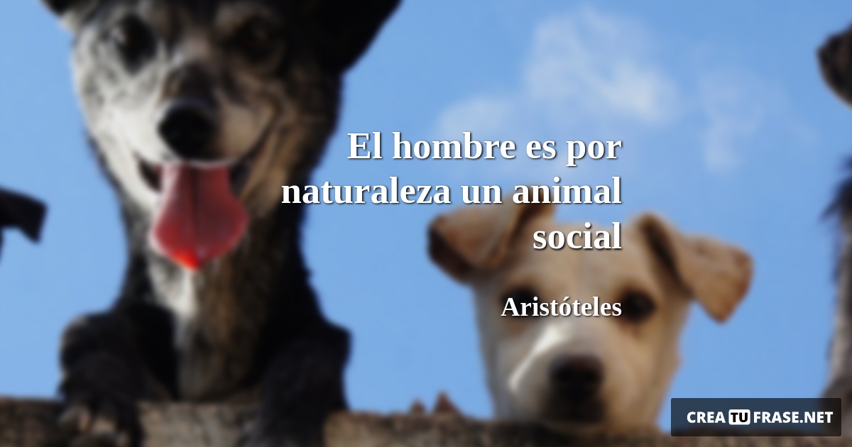Frases de Animales - El hombre es por naturaleza un animal social