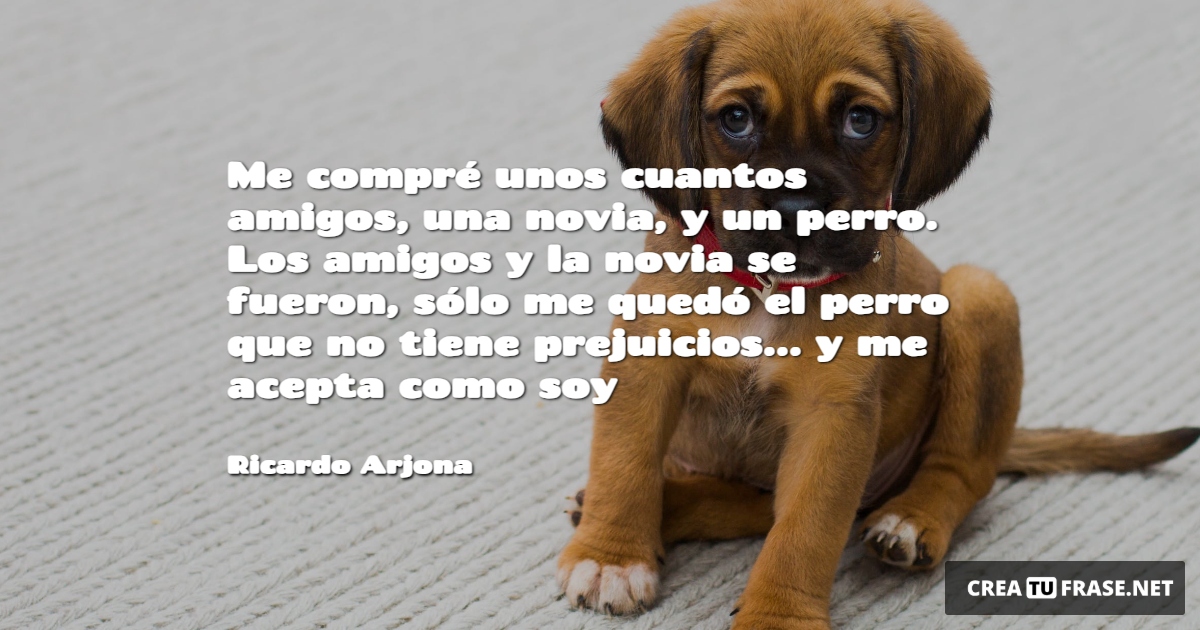 Frases de Animales - Me compré unos cuantos amigos, una novia, y un perro. Los amigos y la novia se fueron, sólo me quedó el perro que no tiene prejuicios... y me acepta como soy