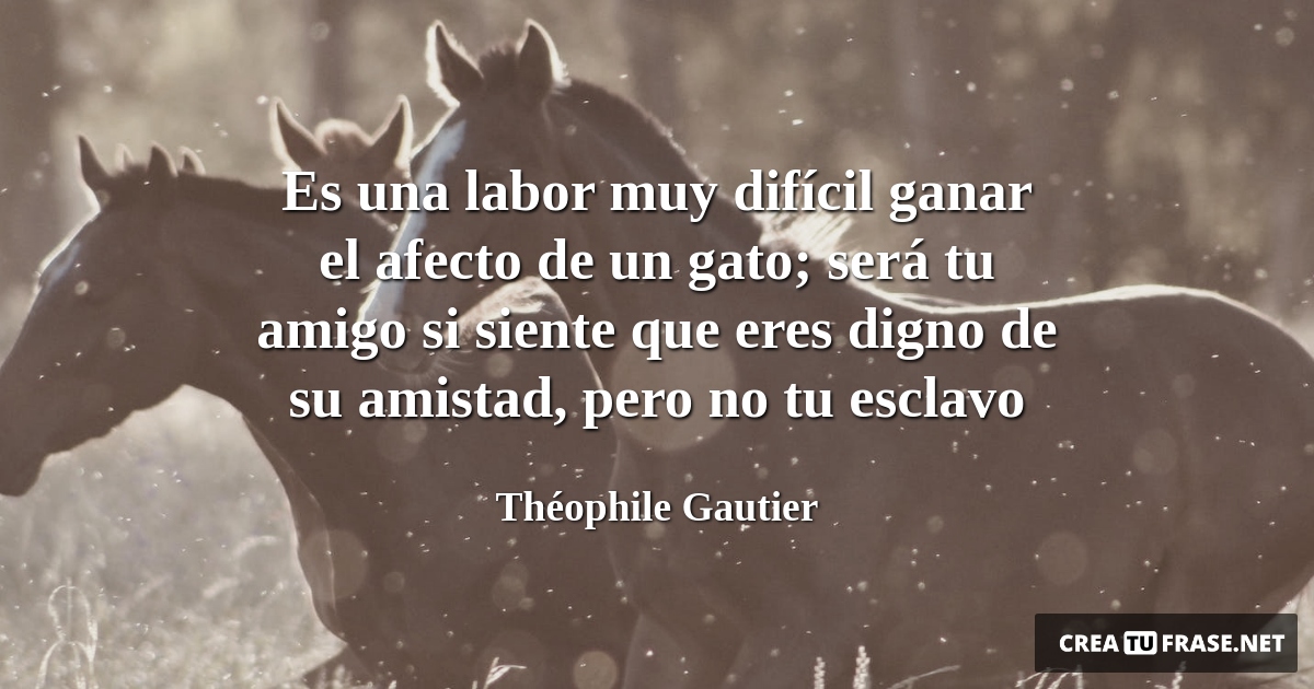 Frases de Animales - Es una labor muy difícil ganar el afecto de un gato; será tu amigo si siente que eres digno de su amistad, pero no tu esclavo