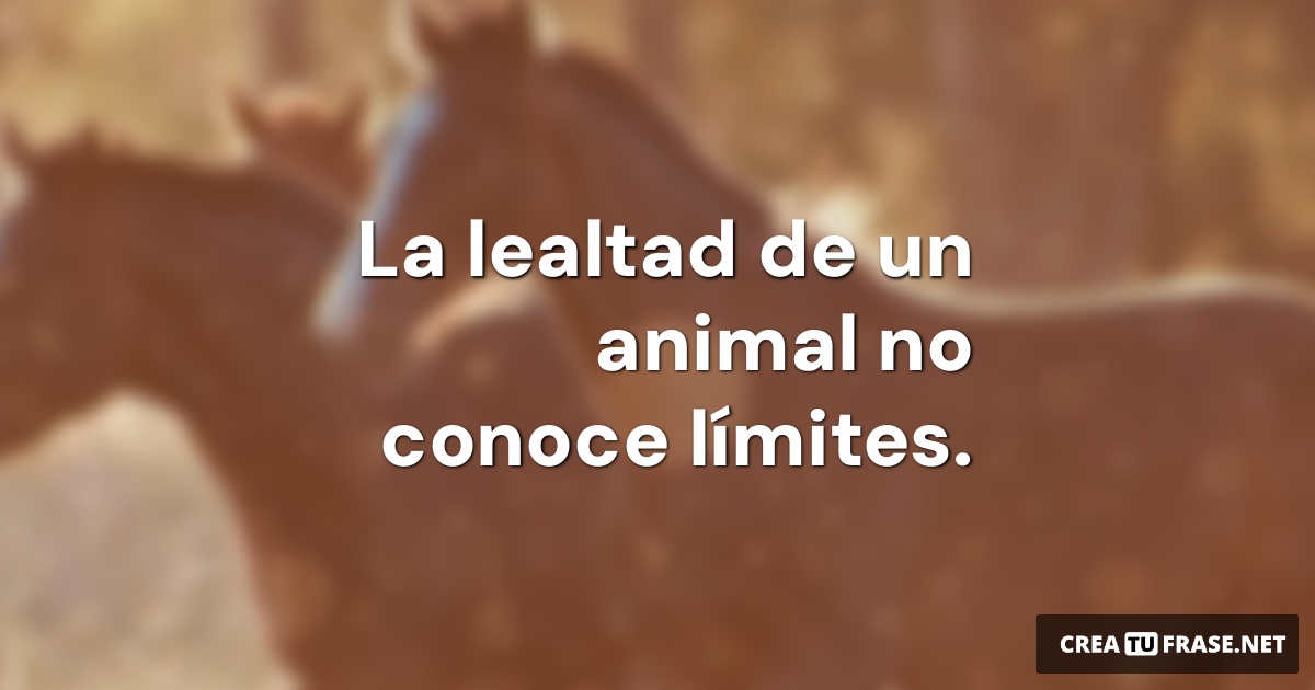 Frases de Animales - La lealtad de un animal no conoce límites.