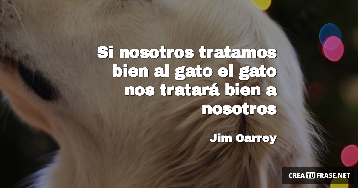 Frases de Animales - Si nosotros tratamos bien al gato el gato nos tratará bien a nosotros