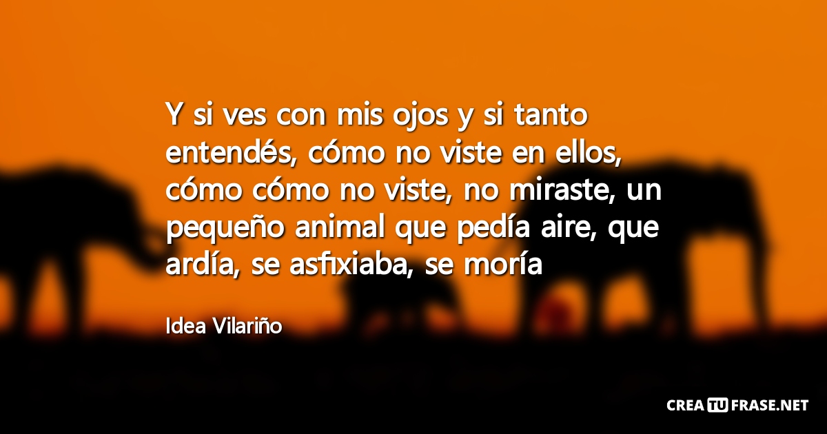 Frases de Animales - Y si ves con mis ojos y si tanto entendés, cómo no viste en ellos, cómo cómo no viste, no miraste, un pequeño animal que pedía aire, que ardía, se asfixiaba, se moría