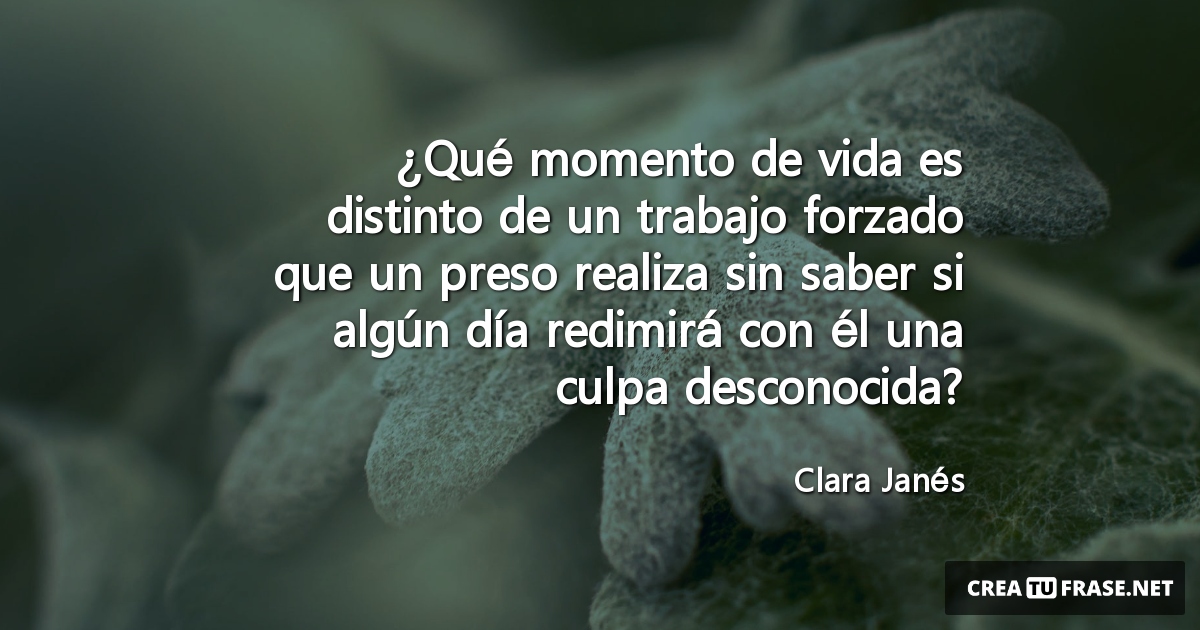 Frases de la Vida - ¿Qué momento de vida es distinto de un trabajo forzado que un preso realiza sin saber si algún día redimirá con él una culpa desconocida?