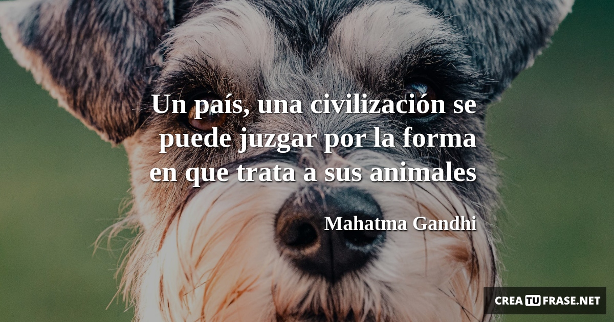 Frases de Animales - Un país, una civilización se puede juzgar por la forma en que trata a sus animales