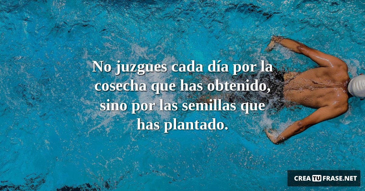 Frases de Motivacion - No juzgues cada día por la cosecha que has obtenido, sino por las semillas que has plantado.