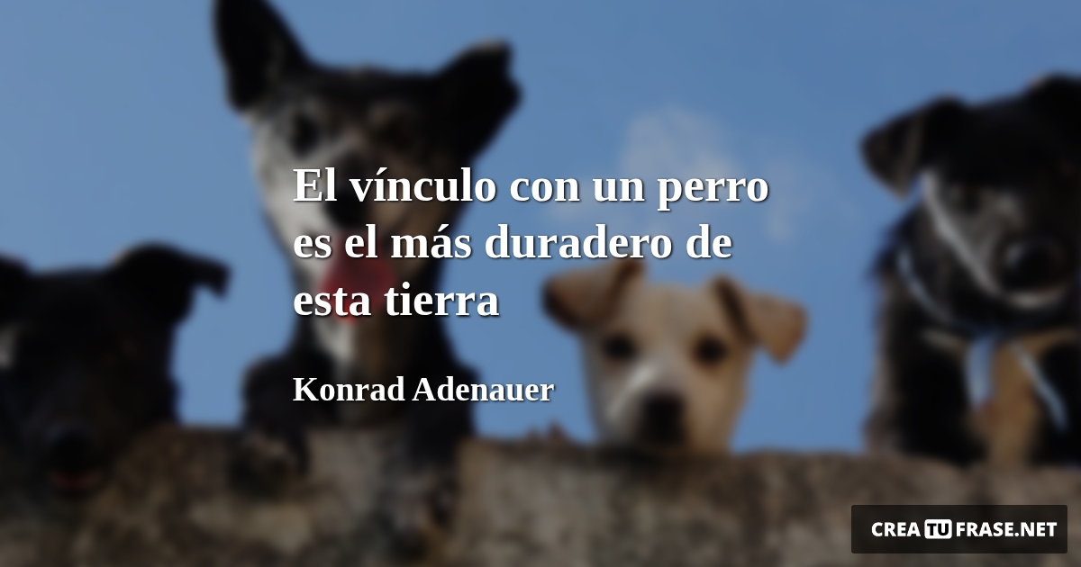 El vínculo con un perro es el más duradero de esta tierra