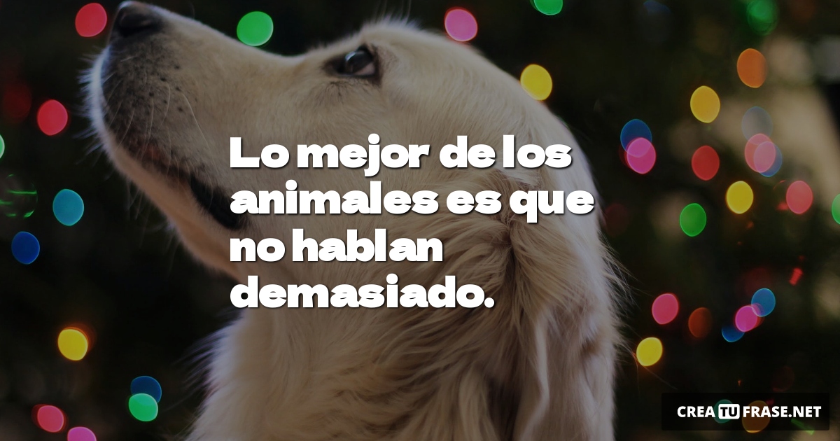 Frases de Animales - Lo mejor de los animales es que no hablan demasiado.