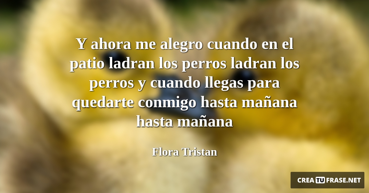 Frases de Animales - Y ahora me alegro cuando en el patio ladran los perros ladran los perros y cuando llegas para quedarte conmigo hasta mañana hasta mañana