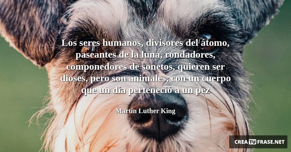 Frases de Animales - Los seres humanos, divisores del átomo, paseantes de la luna, rondadores, componedores de sonetos, quieren ser dioses, pero son animales, con un cuerpo que un día perteneció a un pez