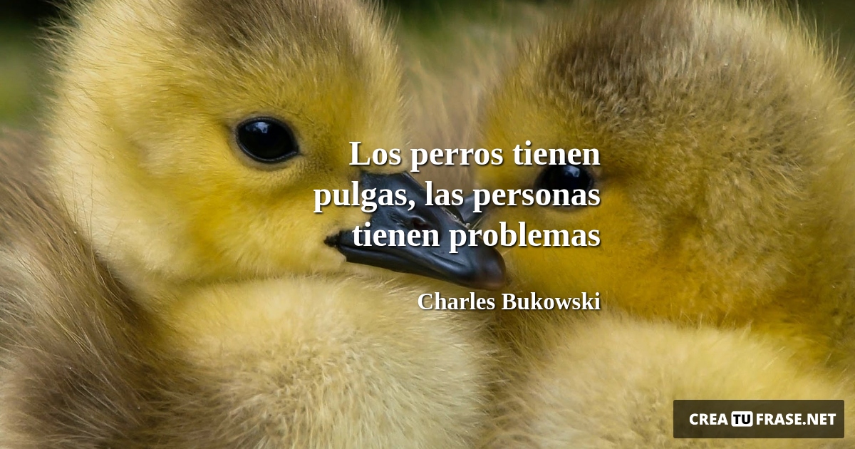 Frases de Animales - Los perros tienen pulgas, las personas tienen problemas
