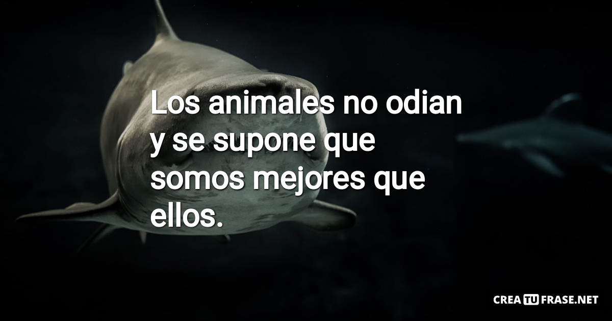 Frases de Animales - Los animales no odian y se supone que somos mejores que ellos.
