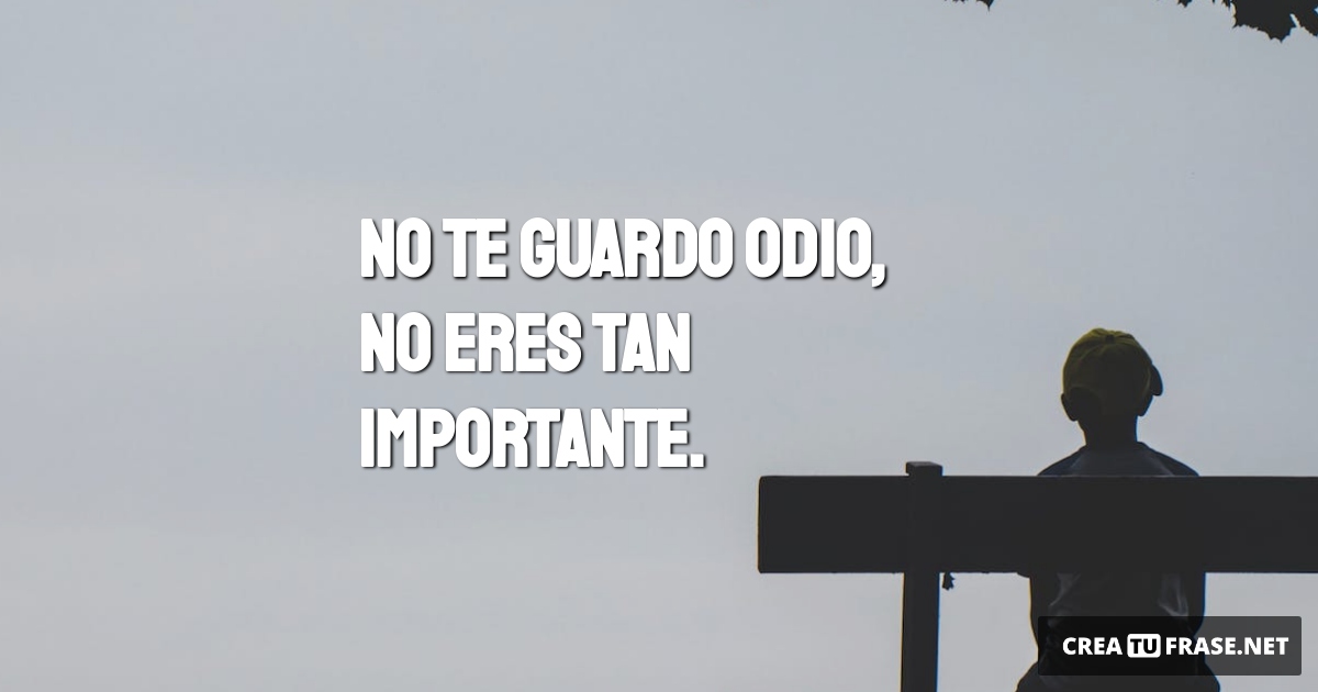 Frases de Desamor - No te guardo odio, no eres tan importante.