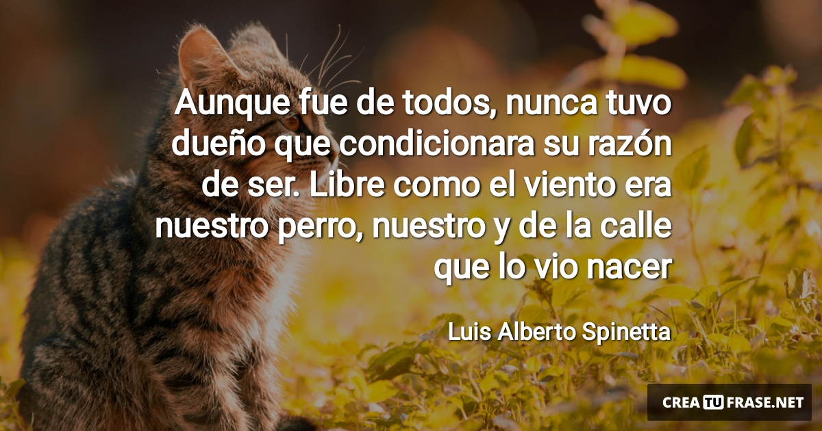 Frases de Animales - Aunque fue de todos, nunca tuvo dueño que condicionara su razón de ser. Libre como el viento era nuestro perro, nuestro y de la calle que lo vio nacer