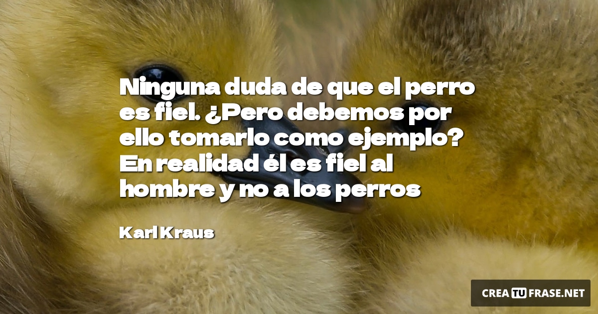 Ninguna duda de que el perro es fiel. ¿Pero debemos por ello tomarlo como ejemplo? En realidad él es fiel al hombre y no a los perros