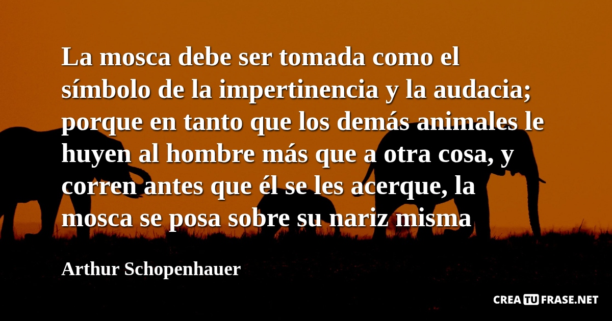 Frases de Animales - La mosca debe ser tomada como el símbolo de la impertinencia y la audacia; porque en tanto que los demás animales le huyen al hombre más que a otra cosa, y corren antes que él se les acerque, la mosca se posa sobre su nariz misma