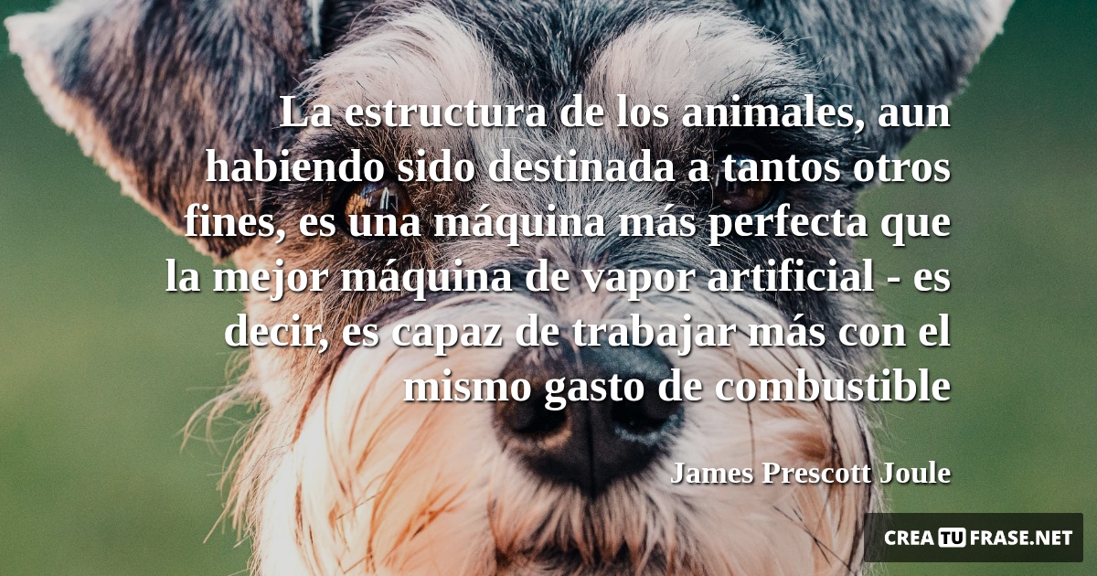 Frases de Animales - La estructura de los animales, aun habiendo sido destinada a tantos otros fines, es una máquina más perfecta que la mejor máquina de vapor artificial - es decir, es capaz de trabajar más con el mismo gasto de combustible