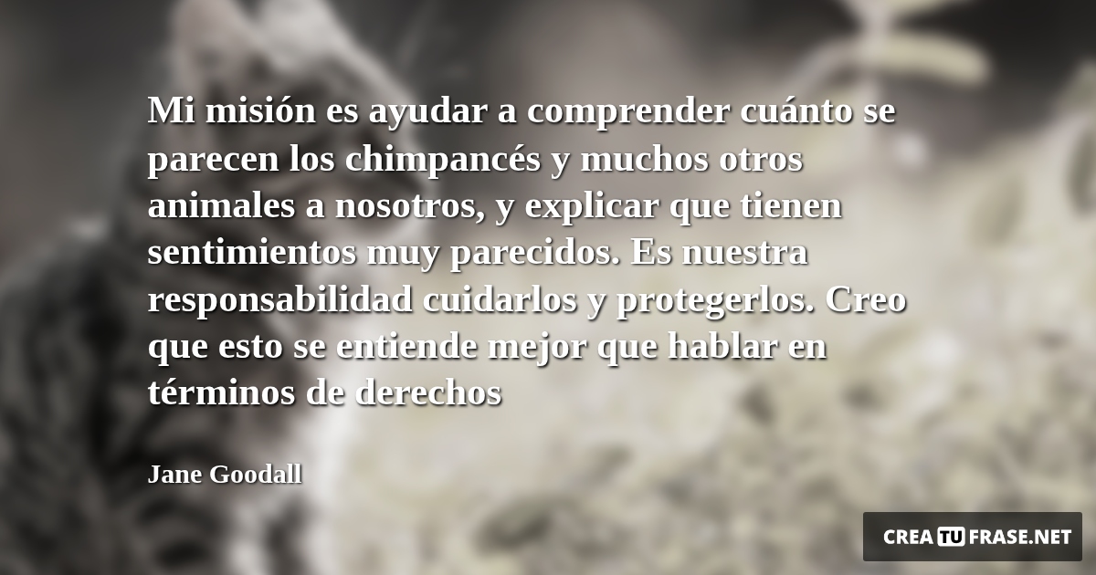 Frases de Animales - Mi misión es ayudar a comprender cuánto se parecen los chimpancés y muchos otros animales a nosotros, y explicar que tienen sentimientos muy parecidos. Es nuestra responsabilidad cuidarlos y protegerlos. Creo que esto se entiende mejor que hablar en términos de derechos
