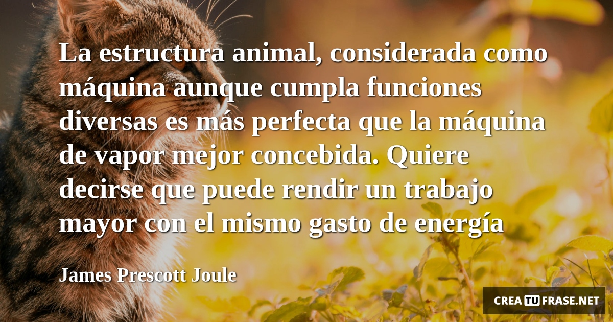Frases de Animales - La estructura animal, considerada como máquina aunque cumpla funciones diversas es más perfecta que la máquina de vapor mejor concebida. Quiere decirse que puede rendir un trabajo mayor con el mismo gasto de energía