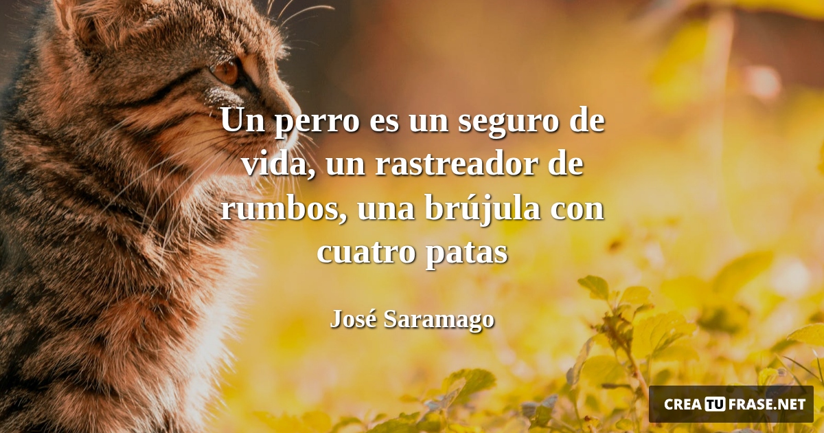Frases de Animales - Un perro es un seguro de vida, un rastreador de rumbos, una brújula con cuatro patas