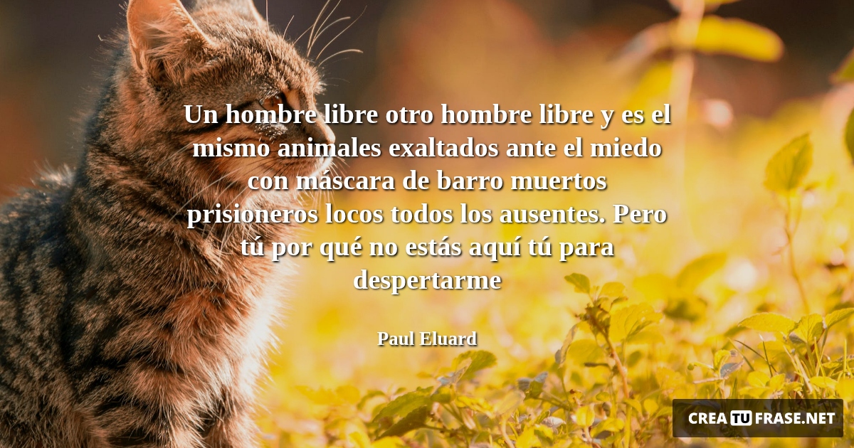 Frases de Animales - Un hombre libre otro hombre libre y es el mismo animales exaltados ante el miedo con máscara de barro muertos prisioneros locos todos los ausentes. Pero tú por qué no estás aquí tú para despertarme