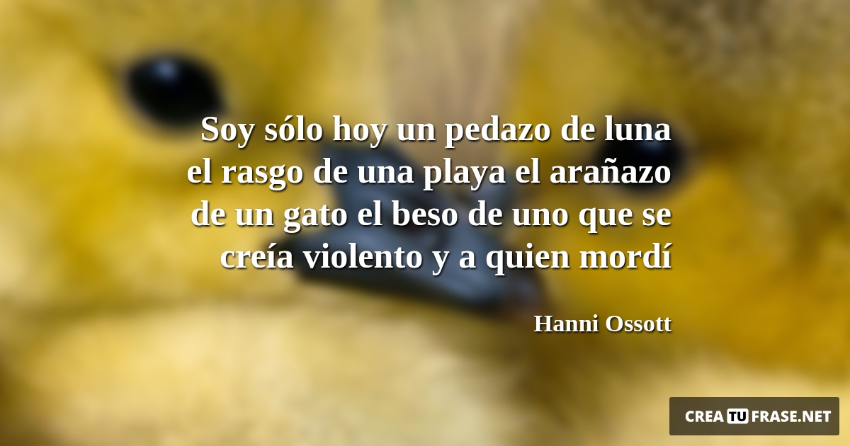 Frases de Animales - Soy sólo hoy un pedazo de luna el rasgo de una playa el arañazo de un gato el beso de uno que se creía violento y a quien mordí