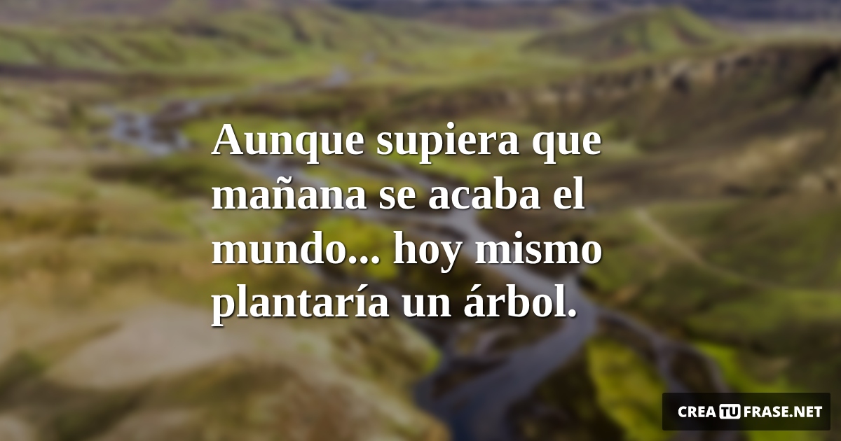 Aunque supiera que mañana se acaba el mundo... hoy mismo plantaría un árbol.