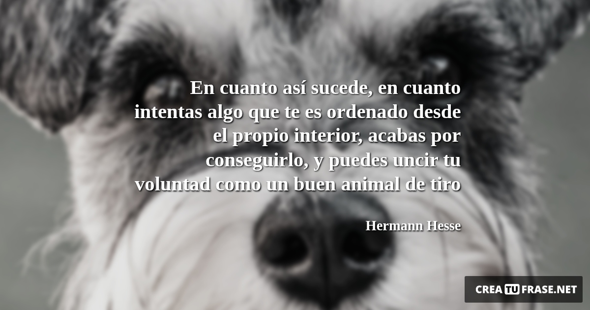 Frases de Animales - En cuanto así sucede, en cuanto intentas algo que te es ordenado desde el propio interior, acabas por conseguirlo, y puedes uncir tu voluntad como un buen animal de tiro