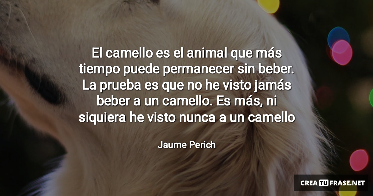 Frases de Animales - El camello es el animal que más tiempo puede permanecer sin beber. La prueba es que no he visto jamás beber a un camello. Es más, ni siquiera he visto nunca a un camello