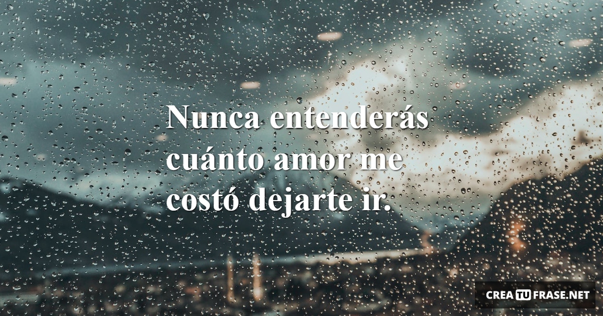 Frases de Desamor - Nunca entenderás cuánto amor me costó dejarte ir.