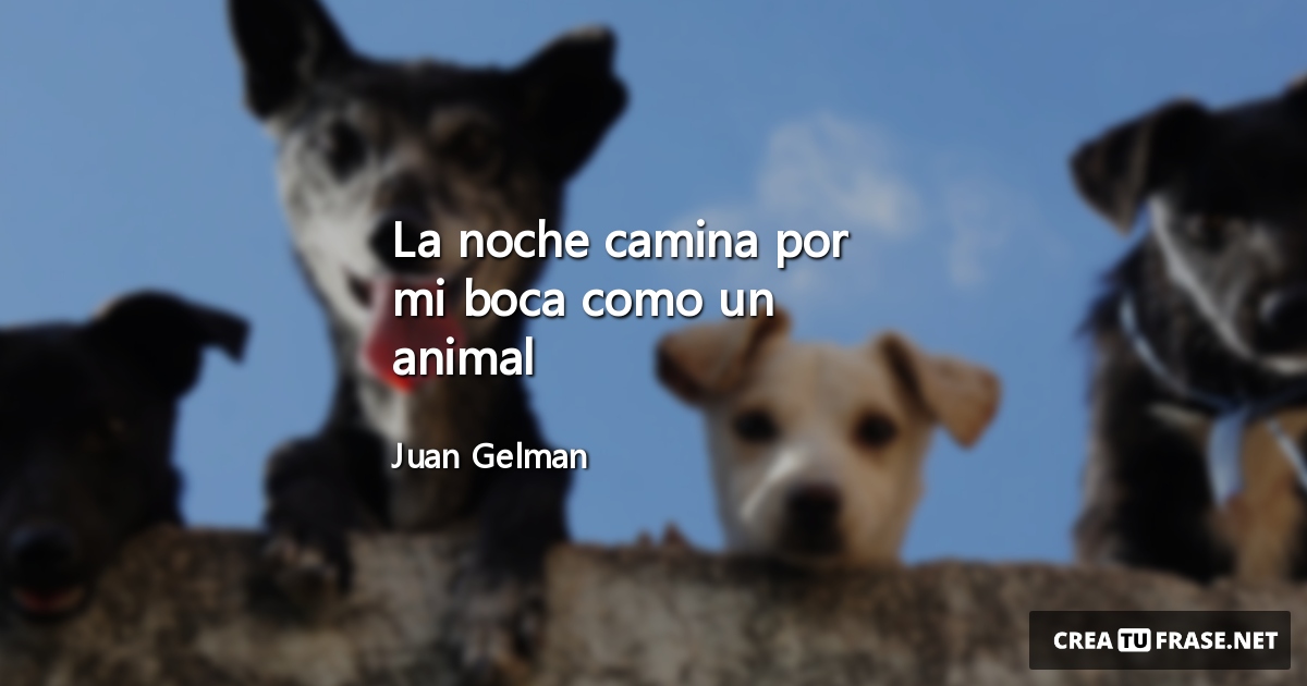 Frases de Animales - La noche camina por mi boca como un animal