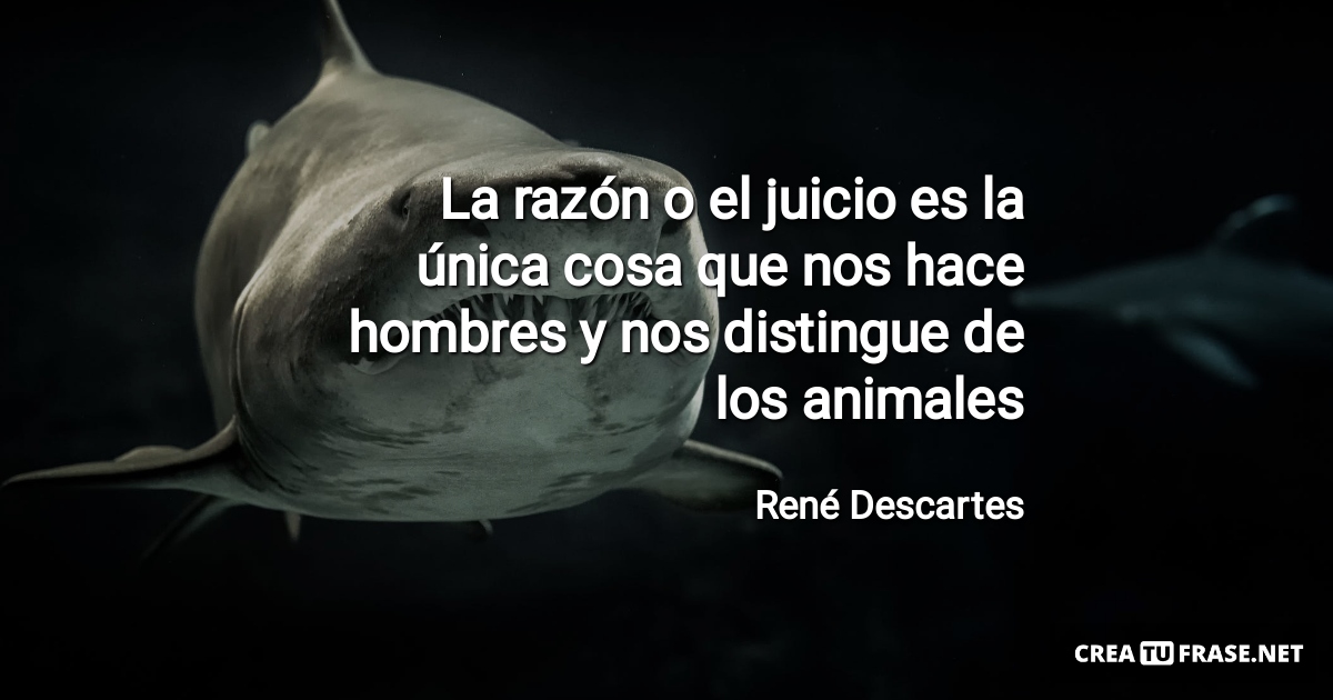 Frases de Animales - La razón o el juicio es la única cosa que nos hace hombres y nos distingue de los animales