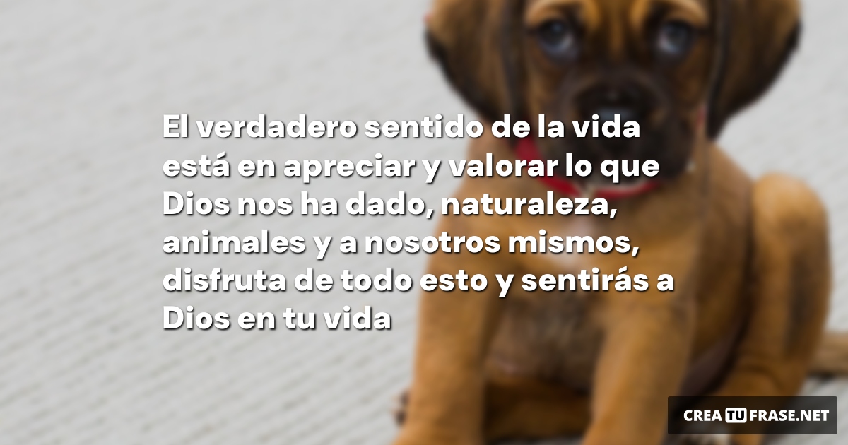 Frases de Animales - El verdadero sentido de la vida está en apreciar y valorar lo que Dios nos ha dado, naturaleza, animales y a nosotros mismos, disfruta de todo esto y sentirás a Dios en tu vida