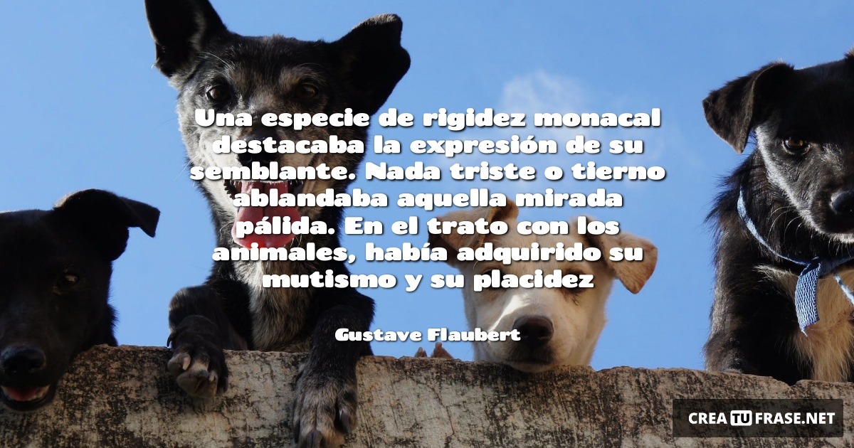 Frases de Animales - Una especie de rigidez monacal destacaba la expresión de su semblante. Nada triste o tierno ablandaba aquella mirada pálida. En el trato con los animales, había adquirido su mutismo y su placidez