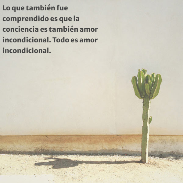 Frases de Acción Poética en Español (Latinoamericana) - Lo que también fue comprendido es que la conciencia es también amor incondicional. Todo es amor incondicional.