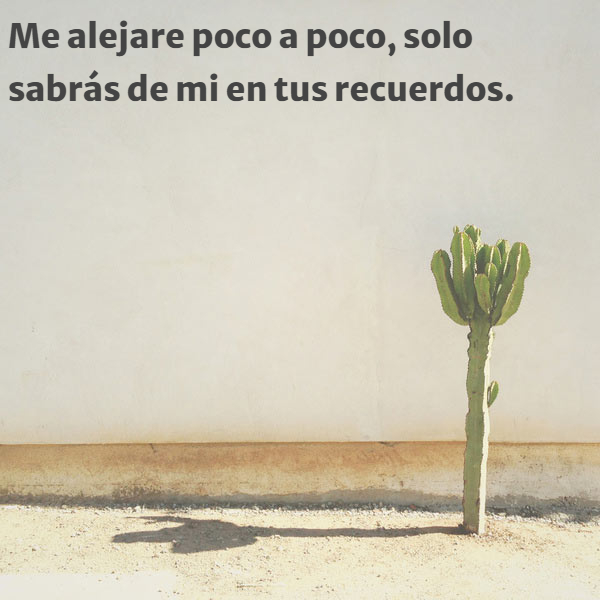 Frases de Acción Poética en Español (Latinoamericana) - Me alejare poco a poco, solo sabrás de mi en tus recuerdos.