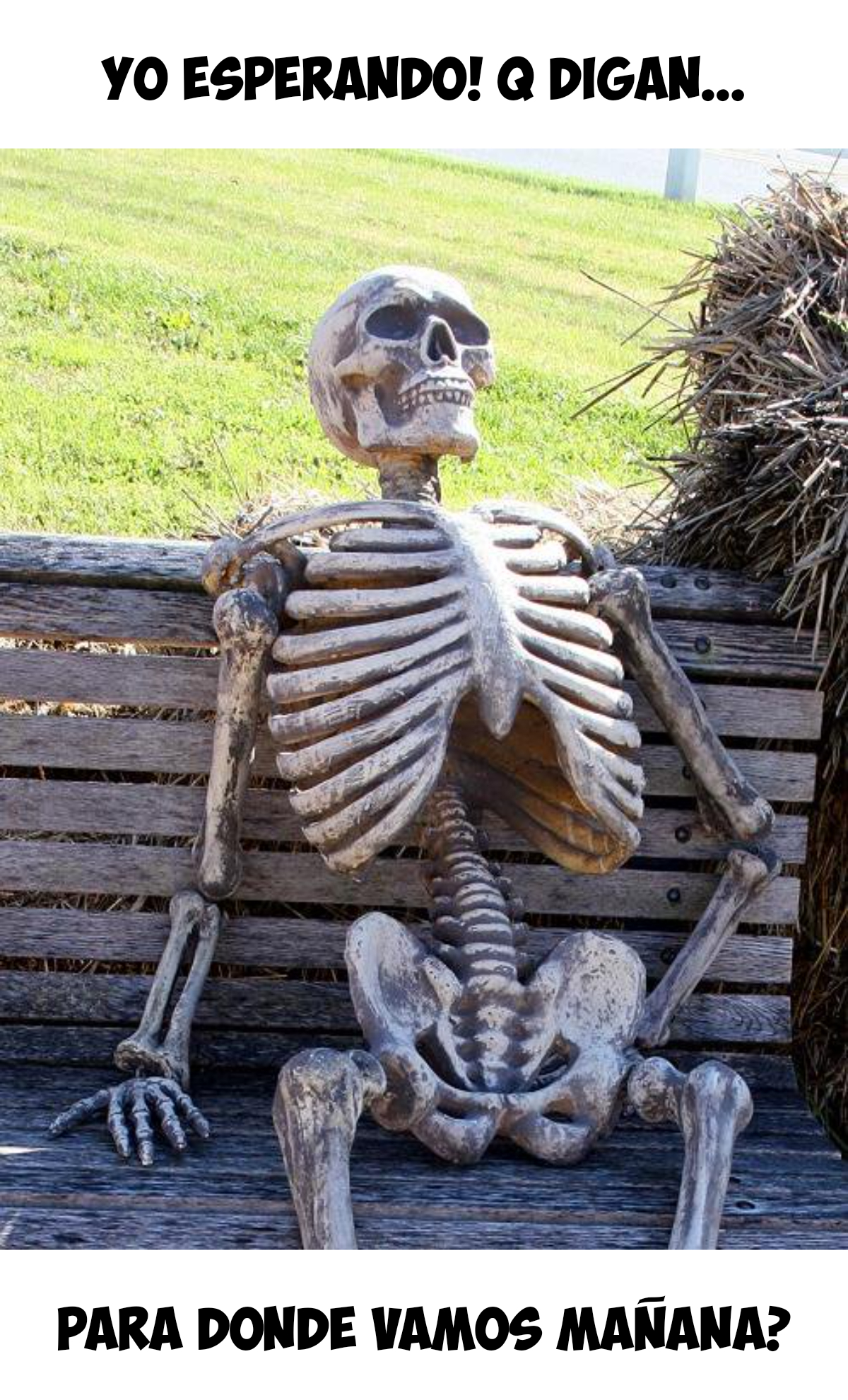 Yo esperando! Q digan...