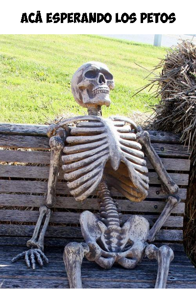 Acá esperando los petos
